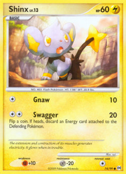 Shinx Lv.13