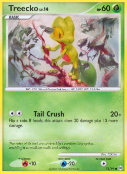 Treecko Lv.14