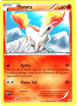 Ponyta