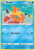 Buizel