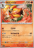 Pyroar