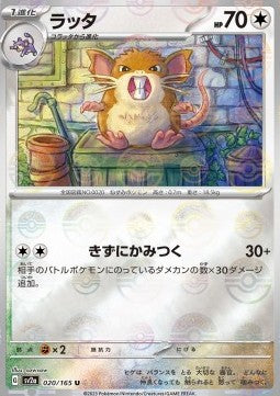 Raticate