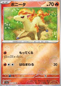 Ponyta