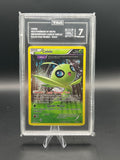 Celebi XYPR93 - TAG7 - POP1
